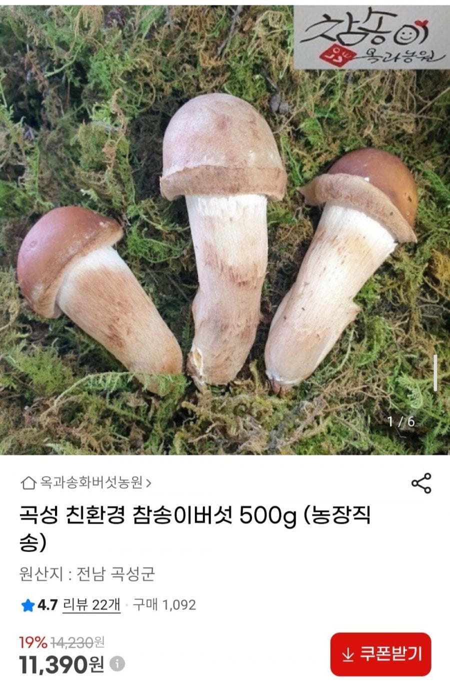 곡성 친환경 참송이버섯 500g (농장직송)