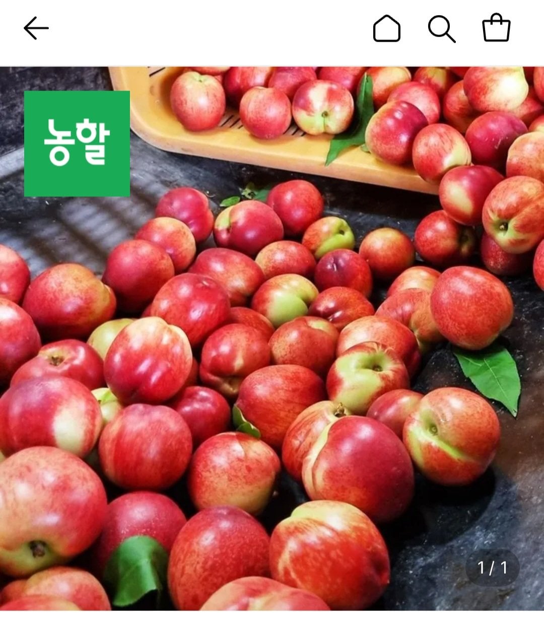 천도 신비복숭아 로얄대과 3kg 24-33과내외