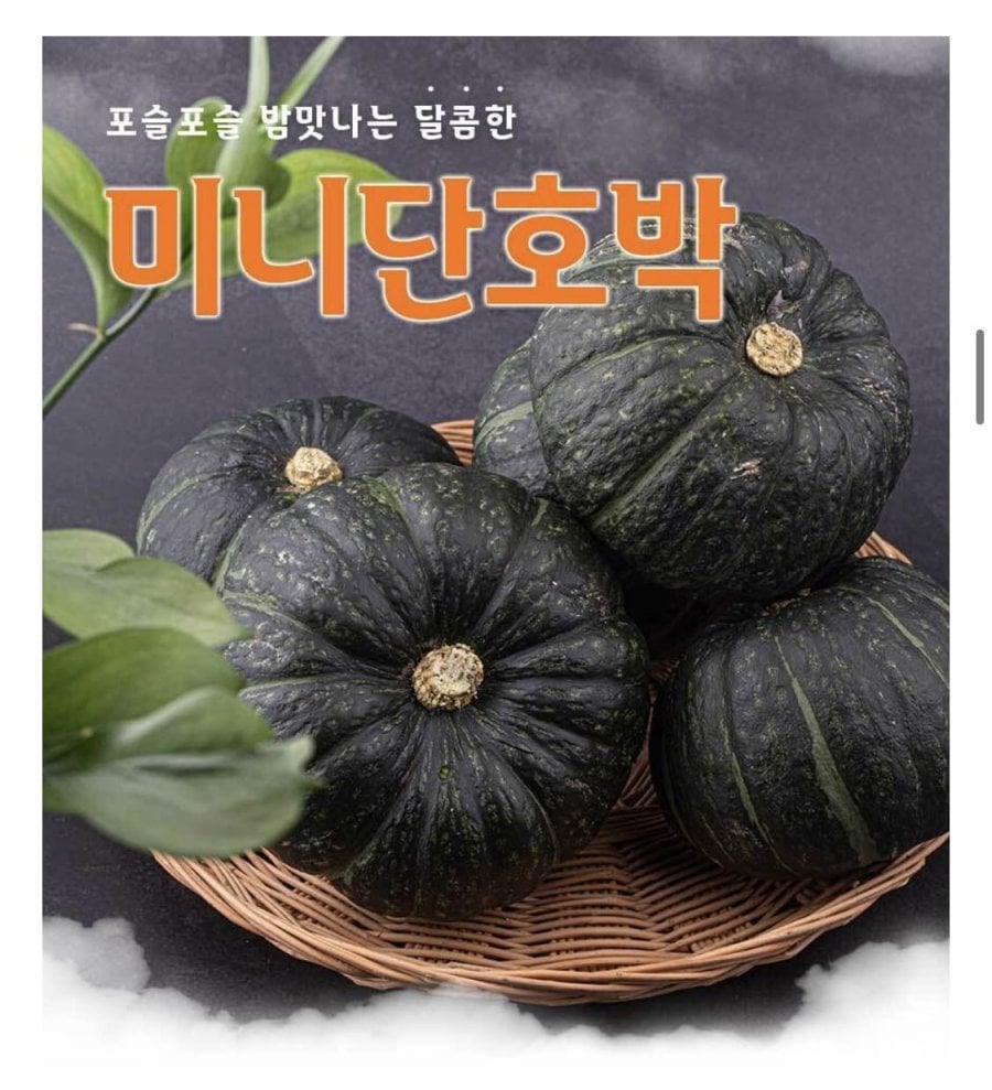제주 미니단호박 특품 1kg