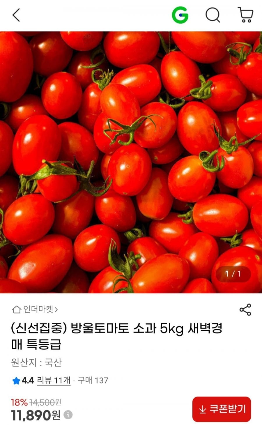 방울토마토 소과 5kg 새벽경매 특등급