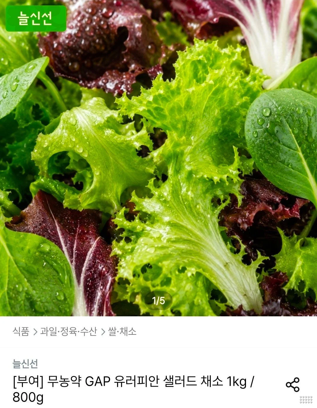 무농약 GAP 유러피안 샐러드 채소 800g