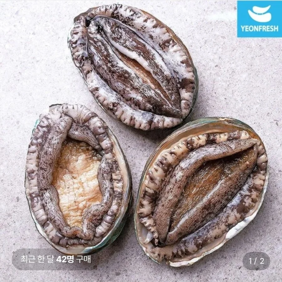 완도 활전복 1kg 9-10미