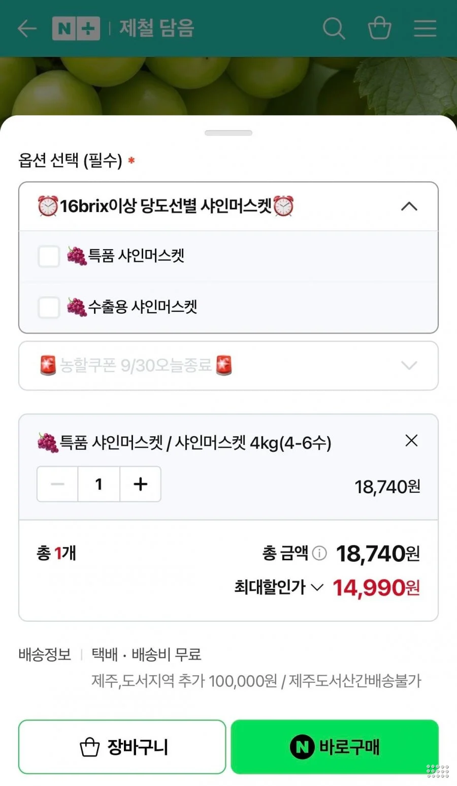 국내산 고당도 샤인머스켓 특품 4kg 4-6수