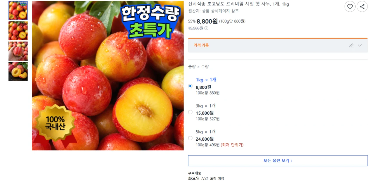 산지직송 초고당도 프리미엄 제철 햇 자두 1kg