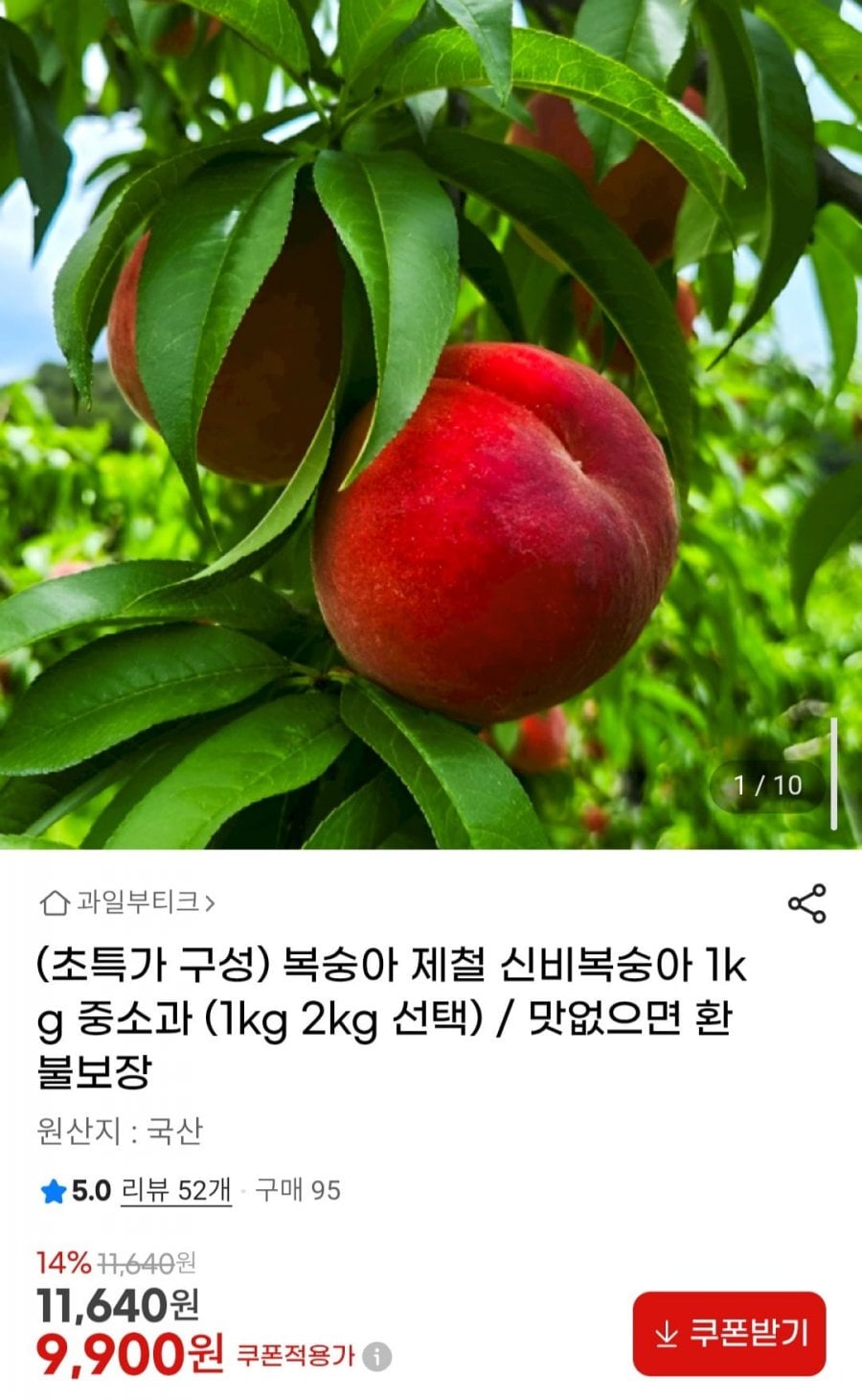 제철 신비복숭아 1kg 중소과