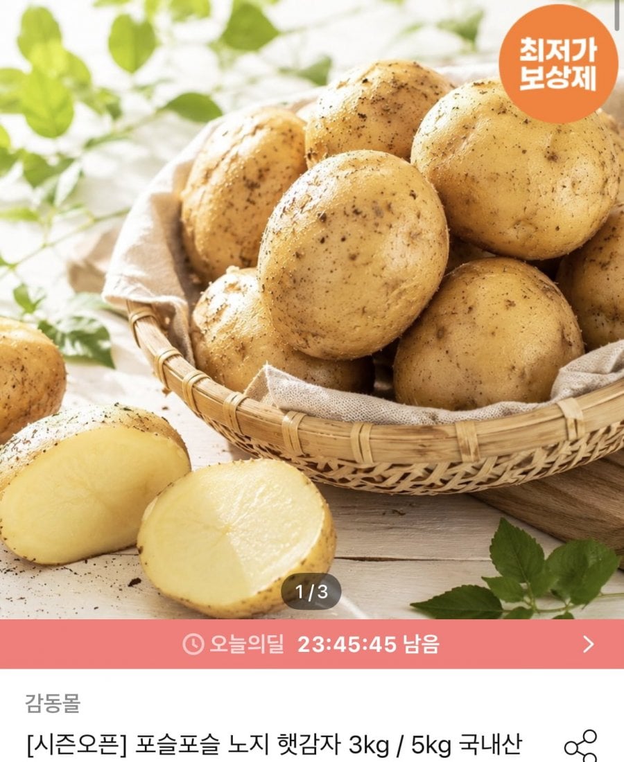 노지햇 감자 대 5kg