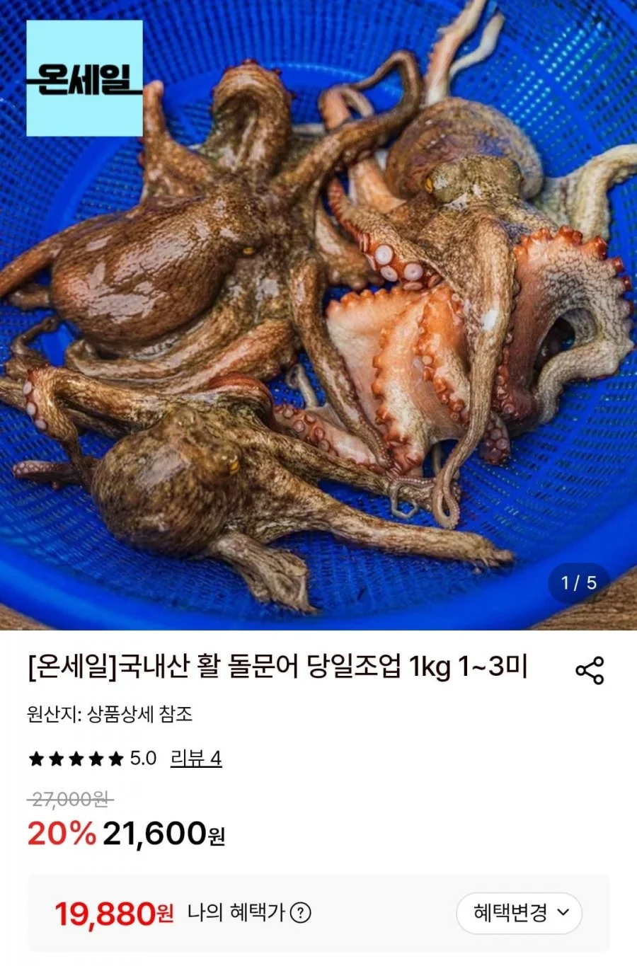 국내산 활 돌문어 당일조업 1kg 1~3미