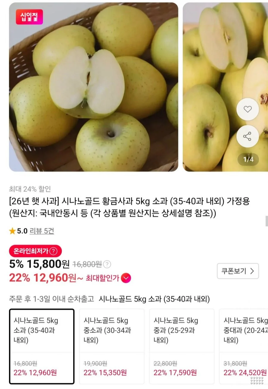 시나노골드 황금사과 가정용 5kg 소과