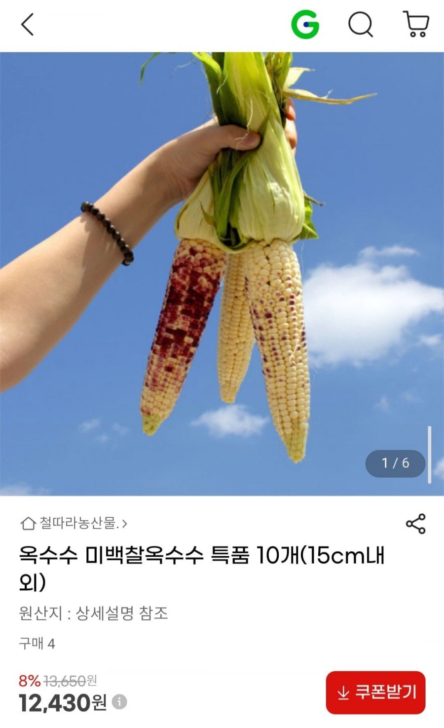 미백 찰 옥수수 특품 10개(15cm내외)