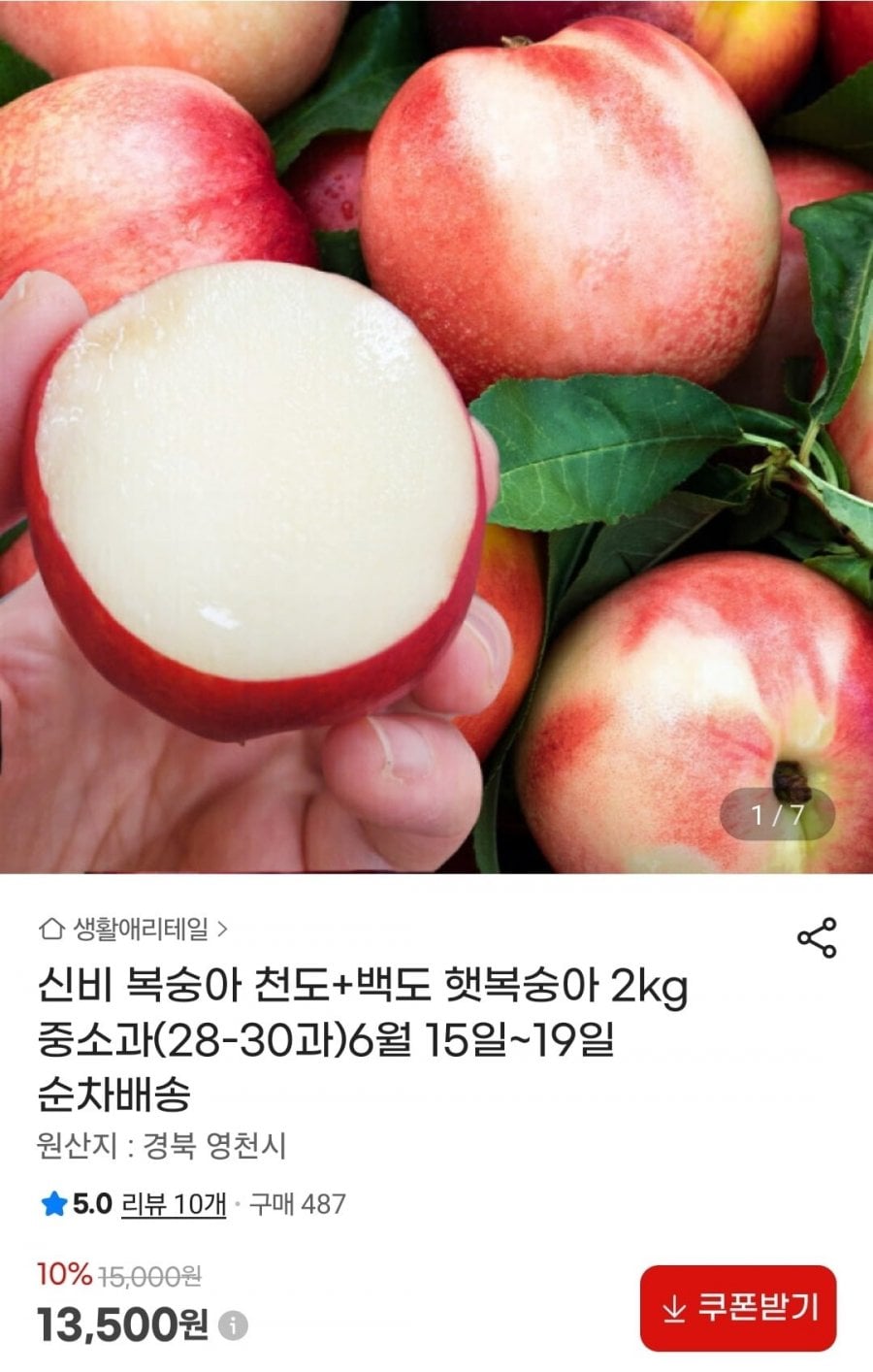 신비복숭아 2kg 예약판매