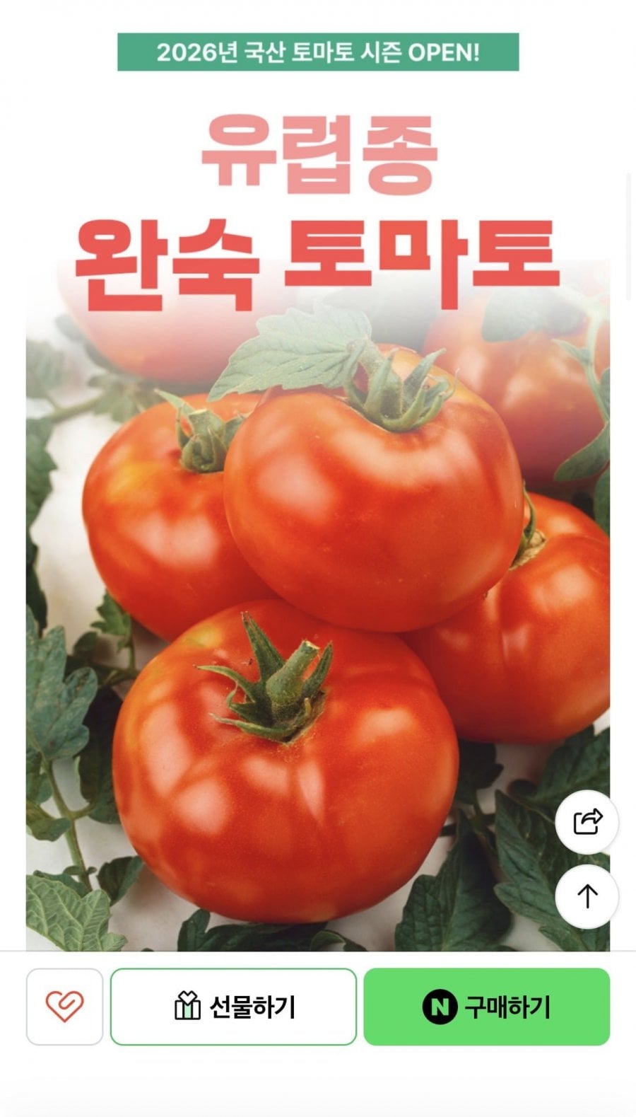 완숙토마토 당일수확 5kg 로얄과사이즈