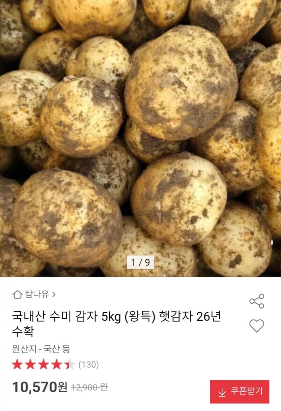 국내산 수미 감자 5kg (왕특) 햇감자 26년 수확