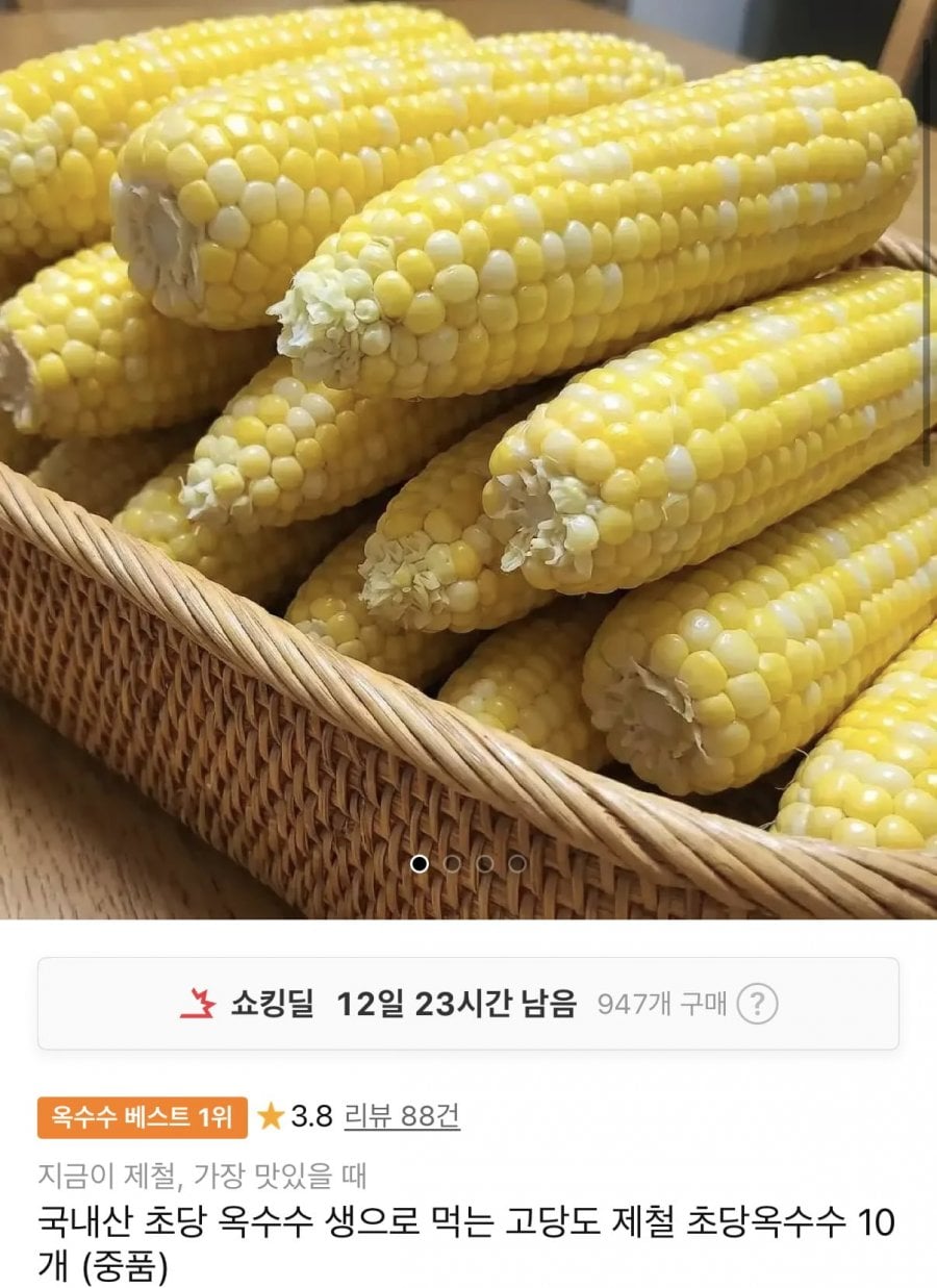 국내산 제철 초당옥수수 10개 중품