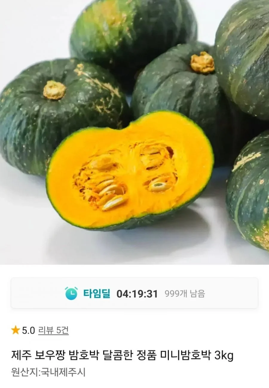 제주 보우짱 미니밤호박 3kg