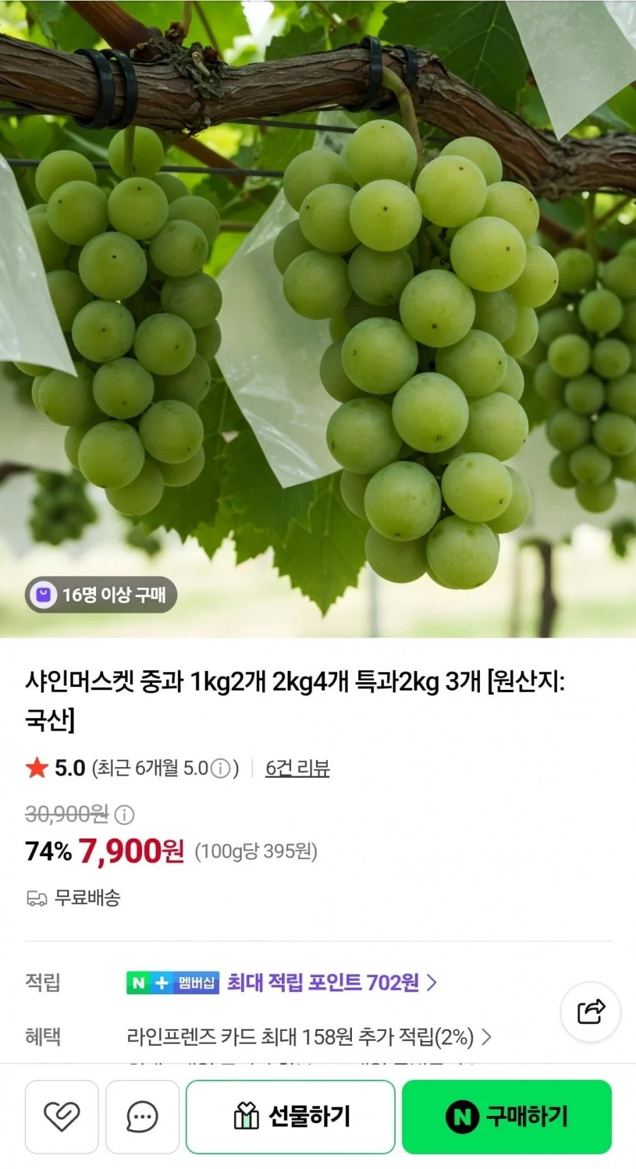 샤인머스켓 중과 1kg 2개
