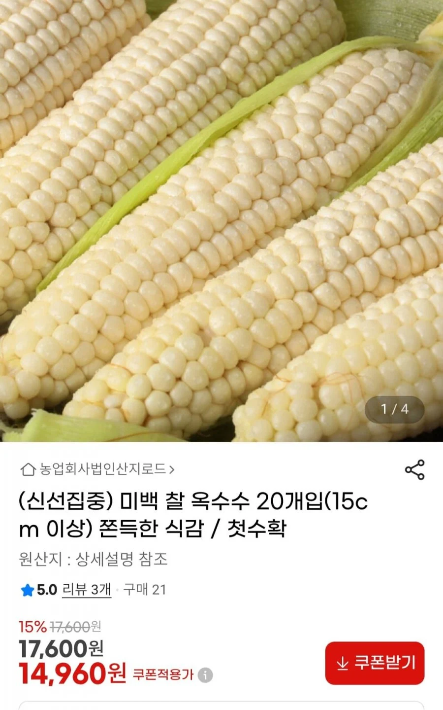 미백 찰옥수수 20개입