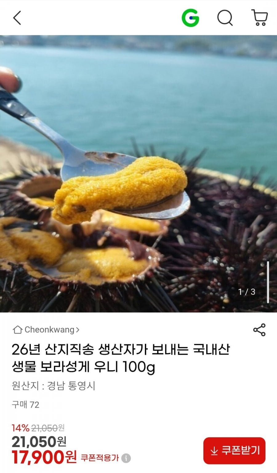 26년 산지직송 국내산 생물 보라성게 우니 100g