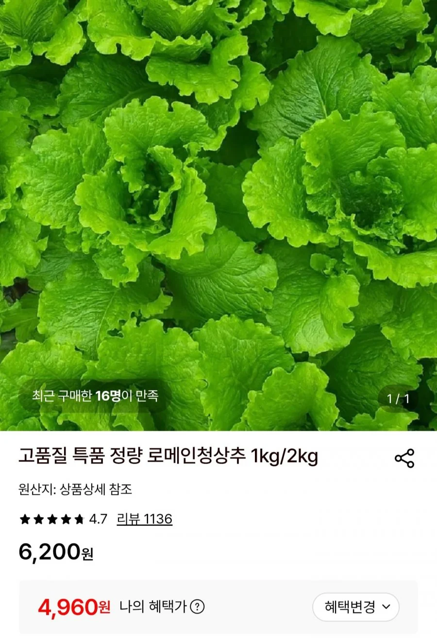 로메인청상추 1kg