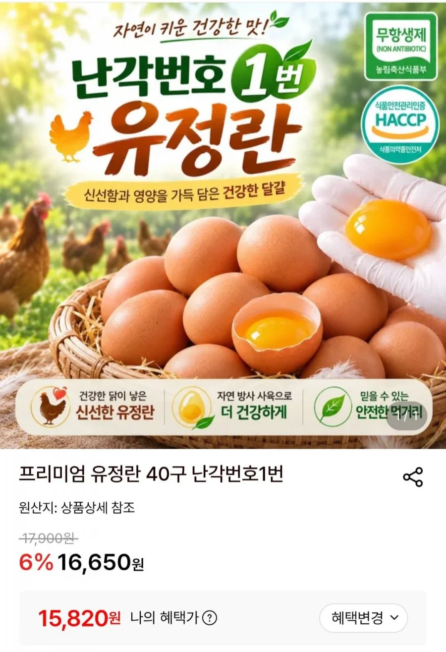프리미엄 유정란 40구 난각번호 1번