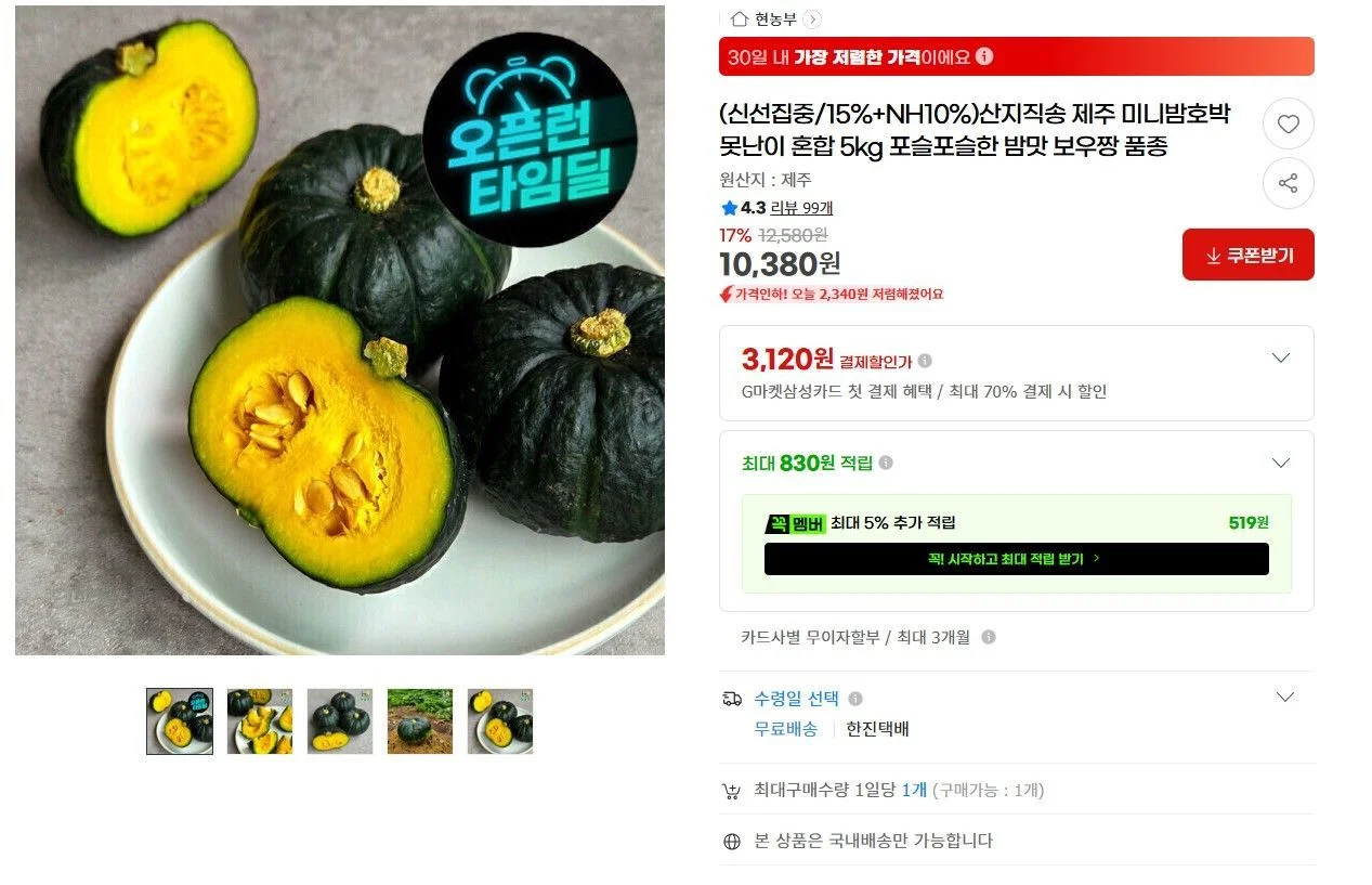 제주 미니밤호박 보우짱 5kg