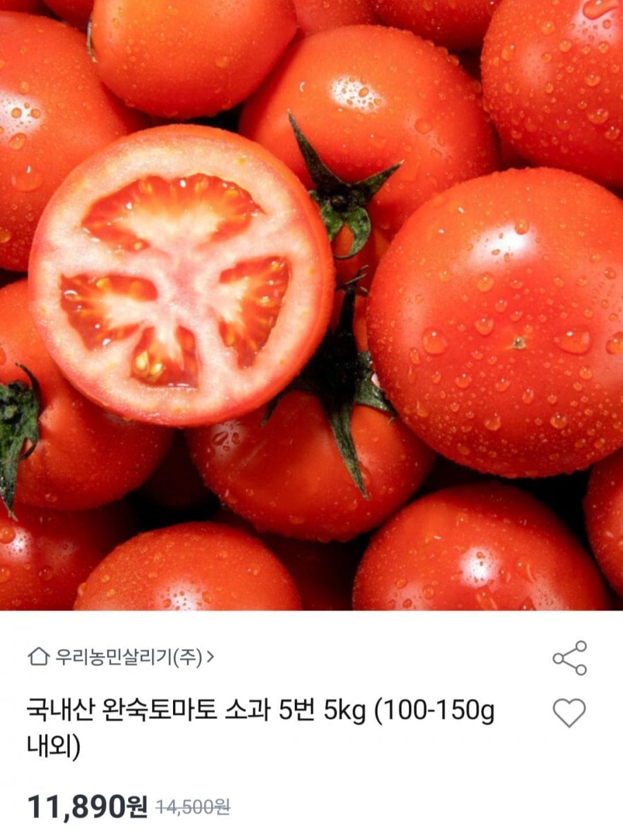 국내산 완숙토마토 소과 5번 5kg