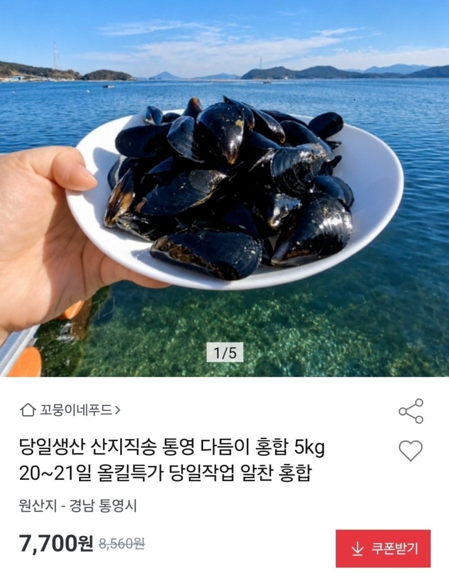 국내산 통영 다듬이홍합 산지직송 5kg