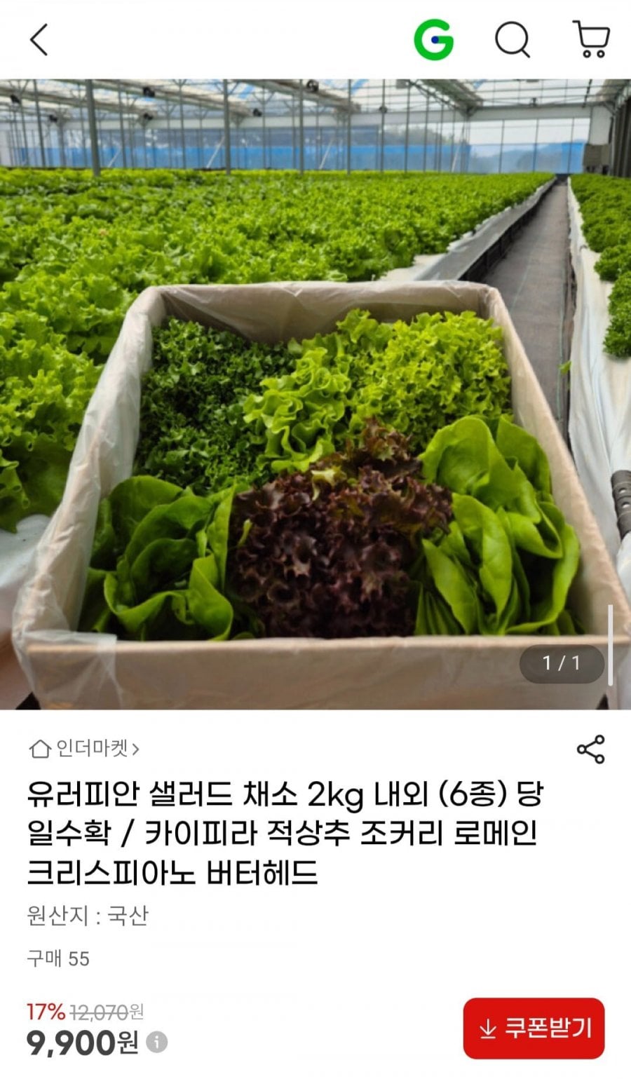 유러피안 샐러드 채소 2kg 6종