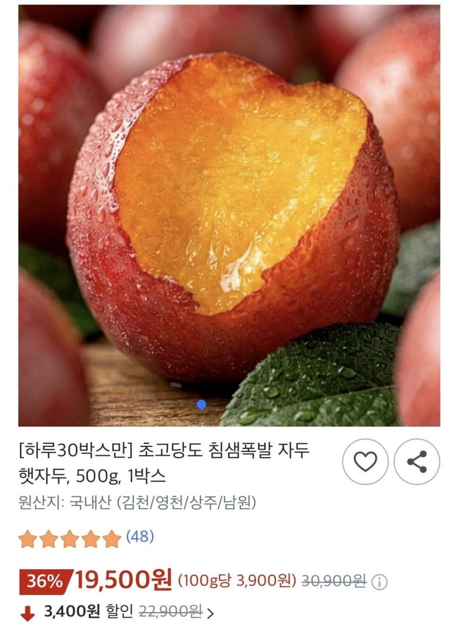 초고당도 침샘폭발 자두 햇자두,500g