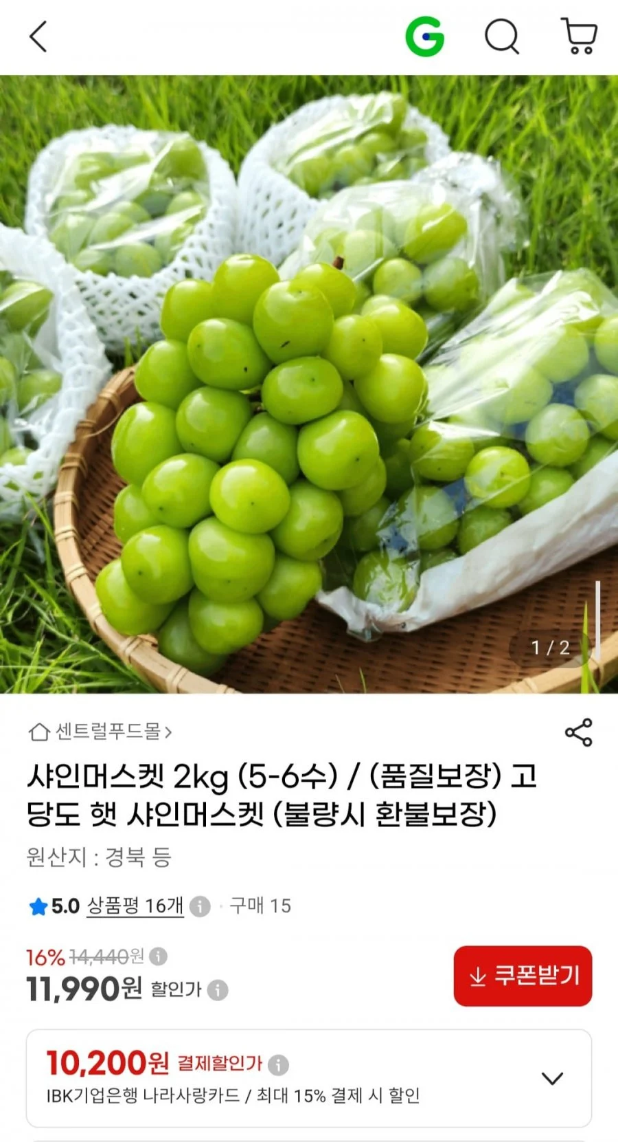 샤인머스켓 2kg (5-6수)