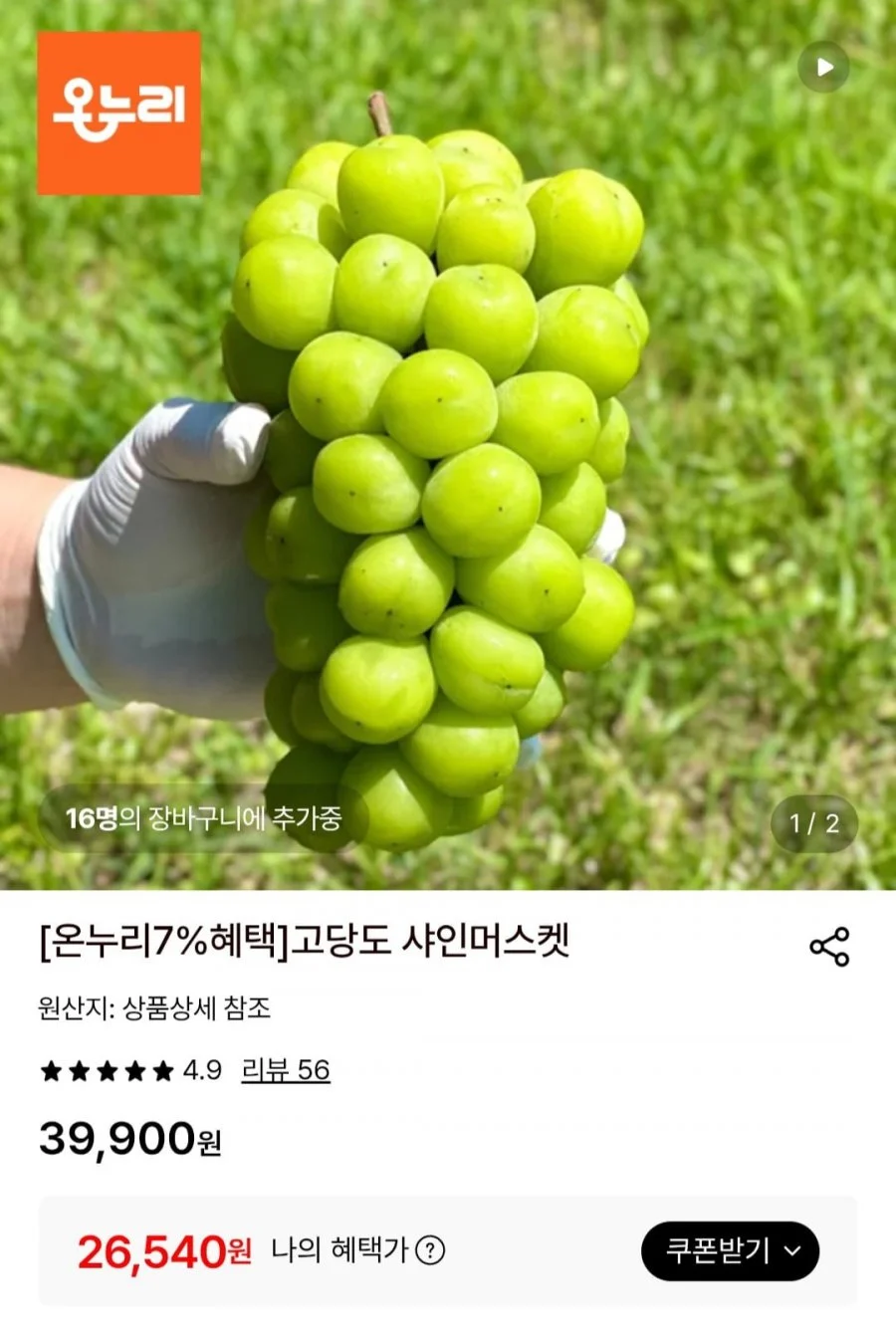 고당도 샤인머스켓 2.4kg 3수