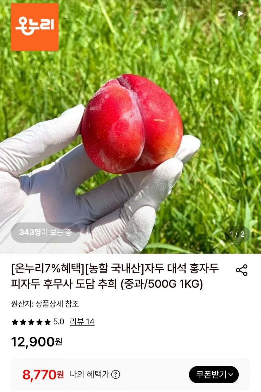 대석 홍자두 중과 500G