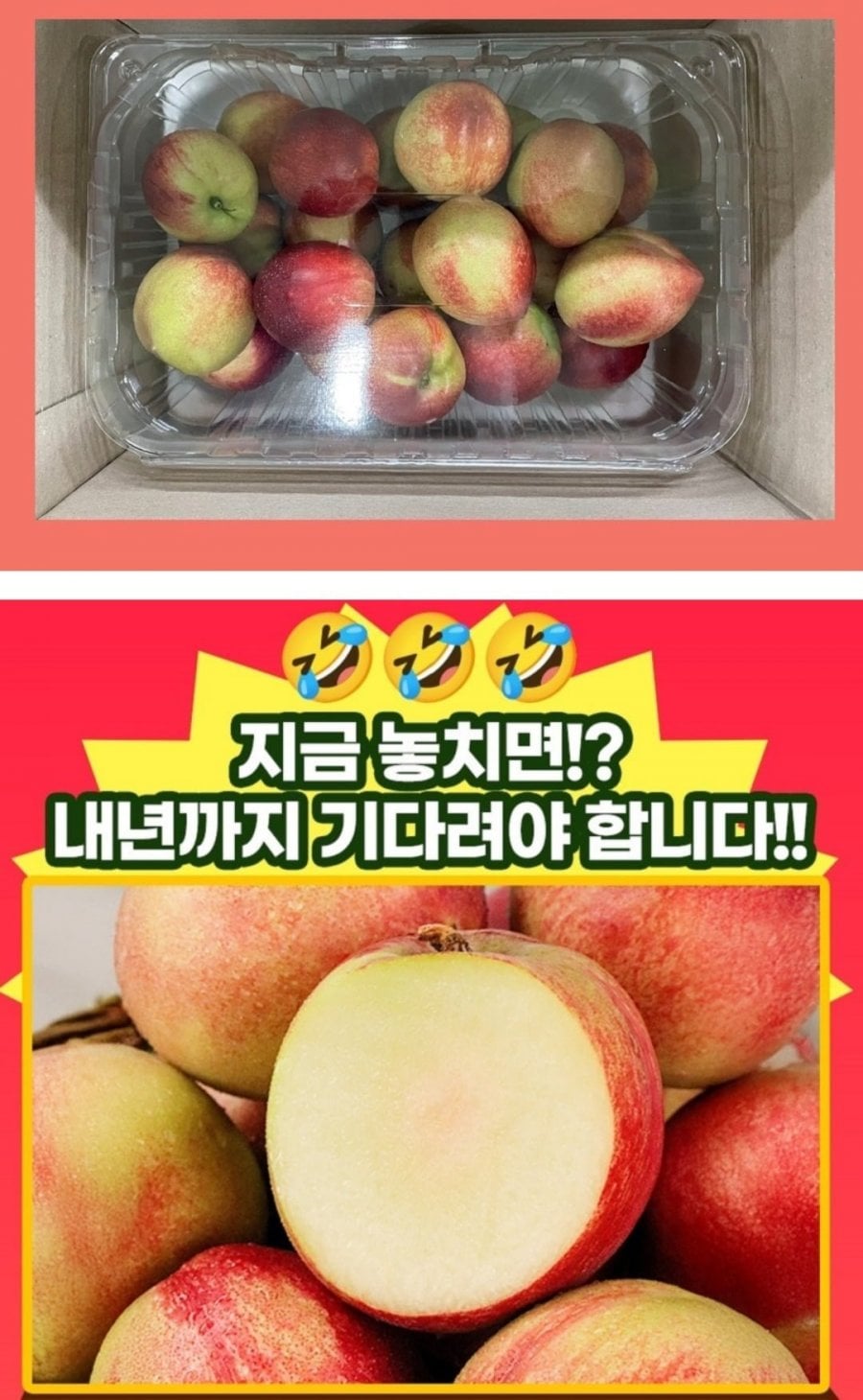 과즙팡팡 신비복숭아 2kg