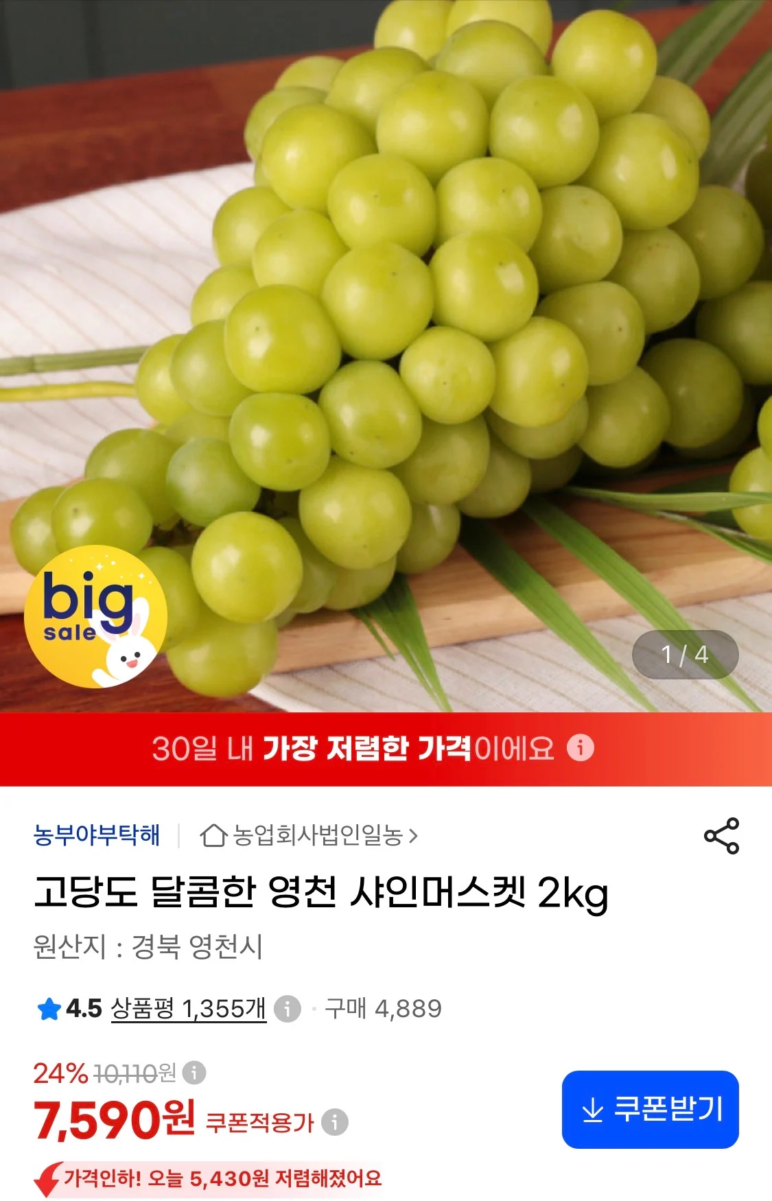 고당도 샤인머스켓 2kg